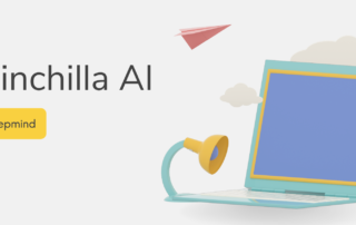 What is Chinchilla AI